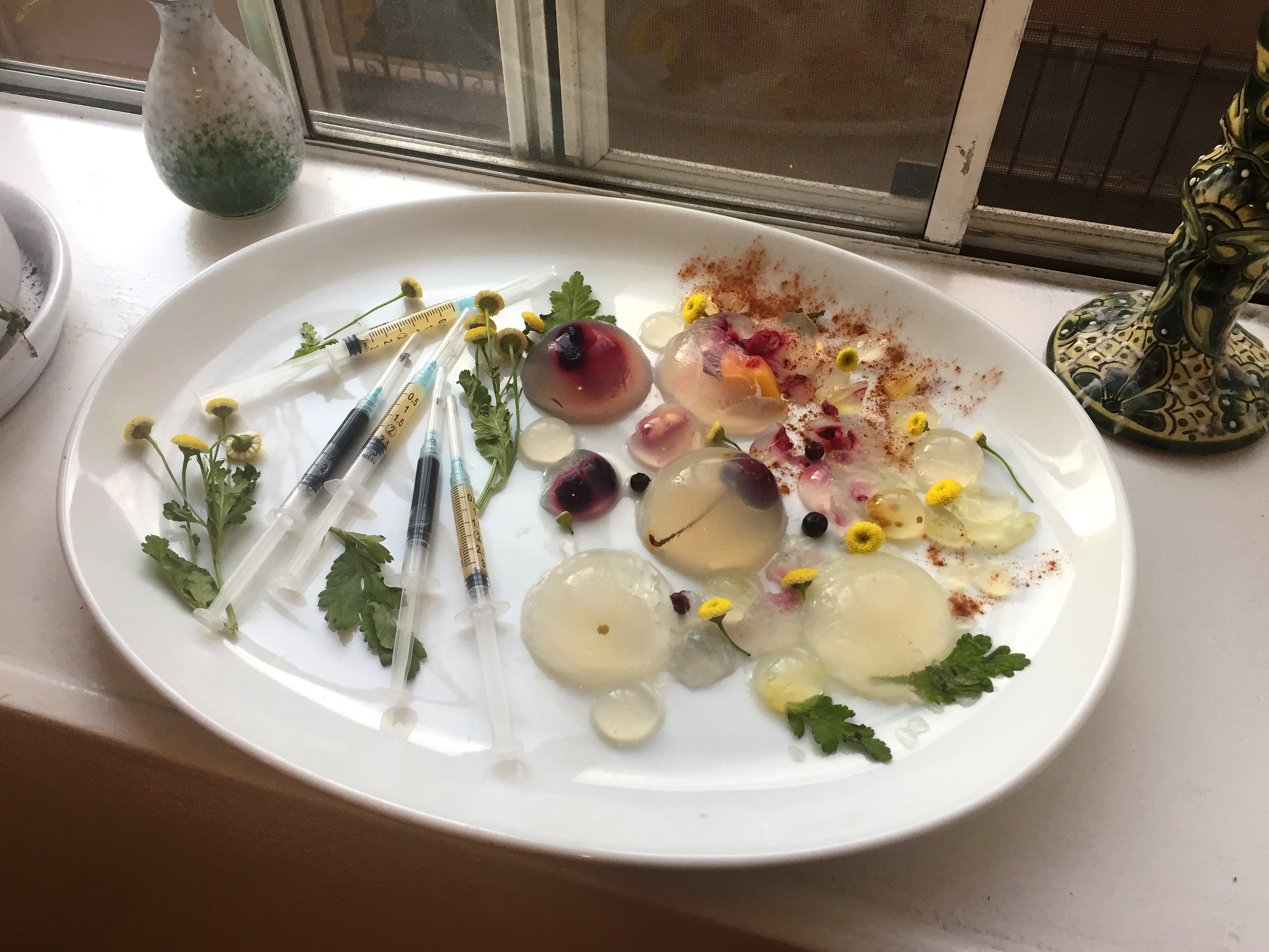 A plate of jello half-spheres and syringes on a windowsill